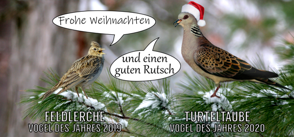 nabu-weihnachten2019 nabu-weihnachten2019