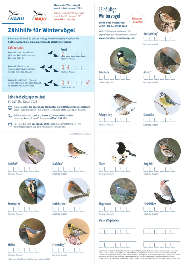 Stunde der Wintervögel NABU WERTHEIM